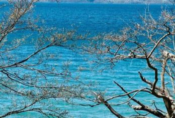 日本小樽/旭川/美瑛/富良野/洞爷湖/登别-札幌往返任选一日【专属客服和本地中文司机，一家一团包车】