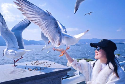 【臻选纯玩】昆明滇池+西山+民族村一日游|可选独立包车【质保障，全程无隐形消费不一样的玩法，把时间都留给景点;】