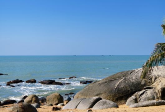 海南热带野生动植物园5座7座可选【1单1团·纯玩·中文专车】【1单1团·纯玩·专车】