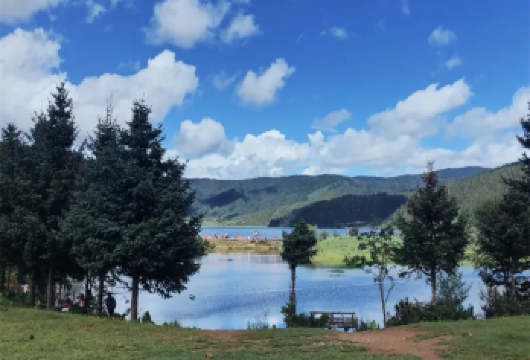 香格里拉普达措国家公园一日游【市区接送/体验原始森林】【亲近自然，尽情森呼吸~】