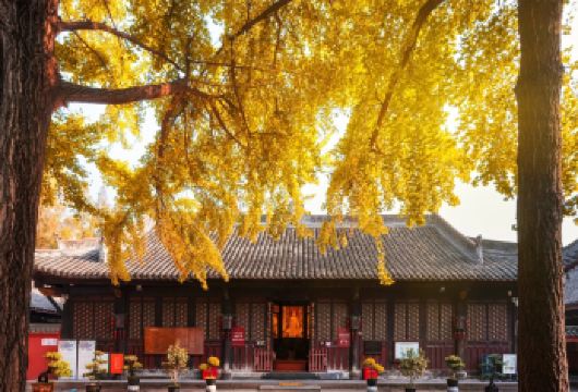 四川成都宽窄巷子+文殊院+东郊记忆+九眼桥一日游【省时省心+行程灵活+VIP包车一站式服务+中文司导】