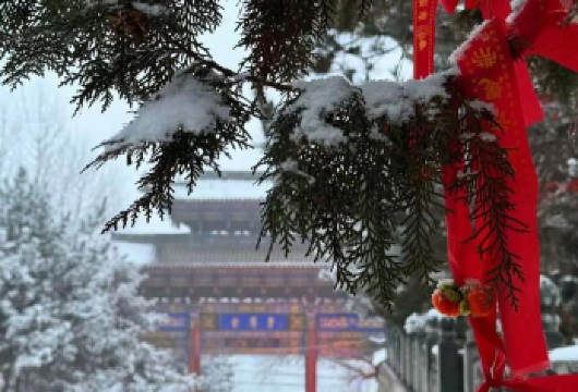 山西五台山一日游/上门接【祈愿祈福，大同出发】【[拼/包车均可]时间自由，专业司导】