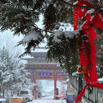 山西五台山一日游/上门接【祈愿祈福，大同出发】
