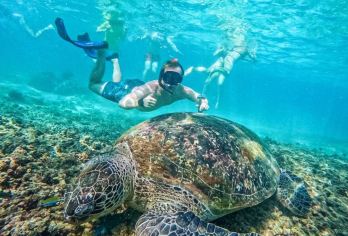 苏梅岛涛岛+南园岛一日游【快艇出海|浮潜胜地】【打卡潜水胜地，苏梅岛一定要去的景点，人字沙滩——浪漫唯美】