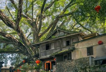 【双土楼】南靖云水谣古镇+永定土楼1日游【便捷无忧，厦门市区酒店上门接，直达云水谣古镇，省心出行。】