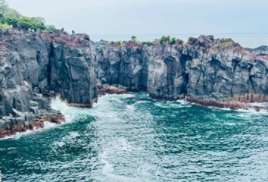 日本东京+伊东+伊豆观海列车一日游/行程可调-可定制多日游【精选热门景点，高效游玩不走回头路，深度了解文化内涵，贴心服务保障，轻松享受旅程，性价比超高的旅行。】