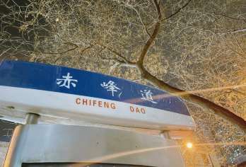 天津赤峰道半日游 张学良故居 瓷房子 窦窦徒步讲解 私家团【无购物 无自费 让您安心游览 杜绝水分时间】