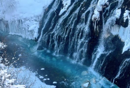 日本北海道旭川美瑛｜白须瀑布｜孤独圣诞树｜札幌往返｜中文专车【尊享一对一高端行程定制，多日豪华包车专属礼遇，专业旅行顾问24小时恭候垂询。】