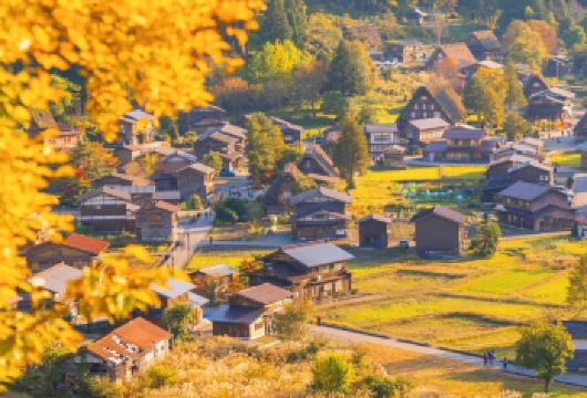 【限时特惠】名古屋出发｜飞驒高山＆白川乡合掌村世界遗产一日游【名古屋出发一日往返，轻松无负担旅行。】