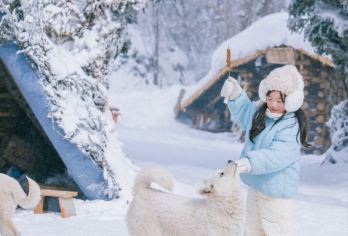 亚布力+雪乡包车1日游【适合带孩子出行的线路！滑雪+浸式体验东北项目：乘雪地摩托车，滑雪圈，看蘑菇屋，晚上住东北大炕】