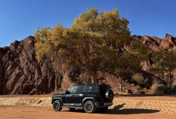 阿克苏+新疆天山托木尔景区·大峡谷一日游【越野车直进景区】【[深度游玩温宿大峡谷]1人即发，赠送盐谷游览，全程越野车不换乘,随走随停，一车到底】