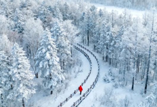 【2-6人】长白山仙峰雪岭/老里克湖纯玩一日游【市区酒店上门接送】