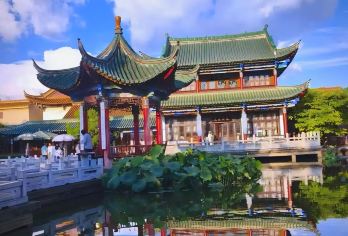 昆明一日游（翠湖+海虹湿地公园+博物馆）【1，商务团一车一团1人起订 2，大巴团，自行到集合点集合】