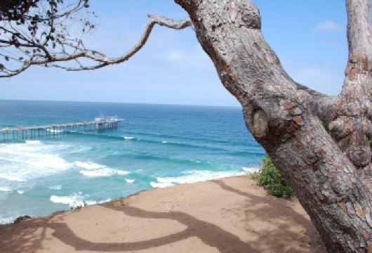 美国洛杉矶往返-大熊湖-露营天堂-冬季滑雪胜地｜热门明星路线【[中文司导可选]提供基础接送或中文导游，满足不同旅客需求】