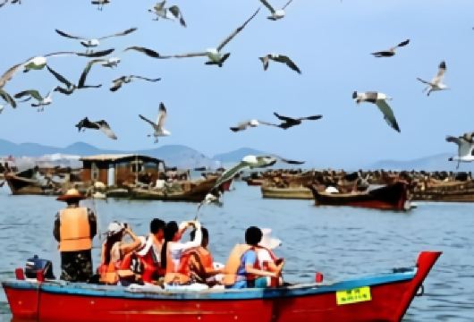 大连金石滩度假区+滨海国家地质公园+黄金海岸一日游·私家团【[精致小团]推荐2-6人迷你小团，家庭独立团，市中心酒店上门接送】