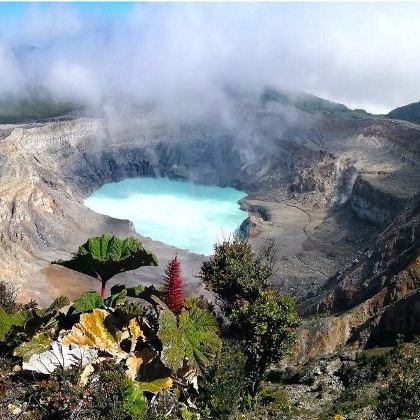哥斯达黎加圣何塞波阿斯火山+咖啡农场跟团游（1人起订）