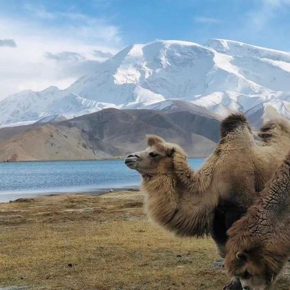 新疆喀什地区+慕士塔格峰-喀拉库勒湖景区+白沙山和流沙河一日游
