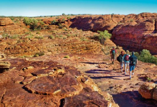 北领地乌鲁鲁帝王谷一日游【瓦塔卡国家公园+徒步+接送】【攀登帝王谷山脊，欣赏瓦塔卡国家公园的壮观景致】
