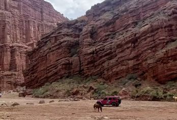 库车温宿大峡谷克孜利亚景区包车一日游【中文司机+行程可调】【库车温宿大峡谷+克孜利亚景区[中文专车]红色大峡谷给人震撼的视觉！】