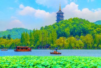 嘉兴乌镇西栅+杭州西湖游船+雷峰塔一日游【纯玩 专车上门接】【[舒适跟团]杭州西湖游船+雷峰塔+乌镇西栅水乡组合，不紧不慢中游览5A级水乡古镇。】