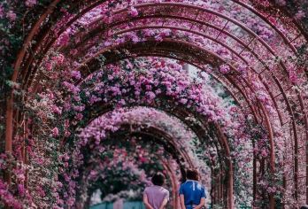 新加坡市区包车一日游-经典之旅-可多日包车-精选【包车一日游，解锁旅行新方式！独立车辆配备经验丰富的老司机，为您量身打造专属行程。】