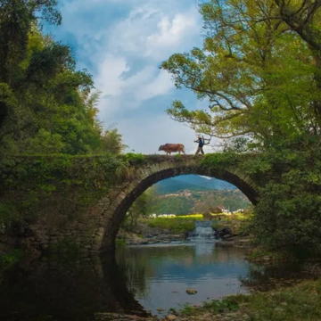 月亮湾+上坦村+龙尾+三眼桥+凤山村+察关+虹关+漳村一日游