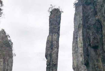 『跟团游』恩施大峡谷+七星寨+云龙地缝一炷香一日游纯玩含接送【[品质鉴定]我们是本土红榜旅行社，拥有成熟的操作团队，拥有自己的车队和导游，强大的资源优势！】