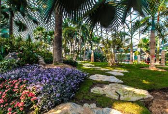 上海广富林文化遗址+辰山植物园+七宝老街一日游《寻上海之根》【寻上海之根，探秘上海千年文化根脉，又能沉浸式体验江南水乡的温婉风情。】