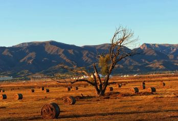 【秋景日落】红石崖+哈达门一日游【随走随停｜上门接送】【这人间烟花 我们只来一次 不如真诚一点 过的放肆 永远热烈而自由！】