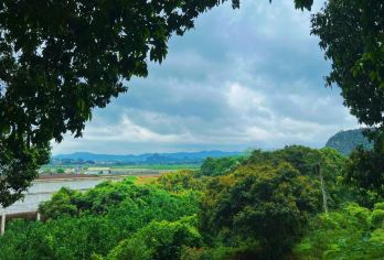 南宁往返武鸣伊岭岩+敢挂洞天坑+大明山包车1日游【品质出游】