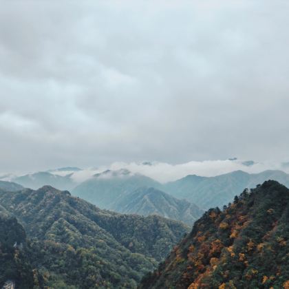 四川巴中光雾山三道关+云天飞燕+红山崖+燕子岭一日游英文服务