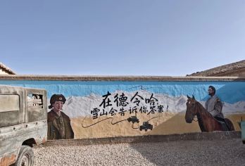 【赠氧气】生命树昆仑山+可可西里+玉珠峰+龙凤宫一日游【网红深度体验游，告别走马观花，游玩不留遗憾】