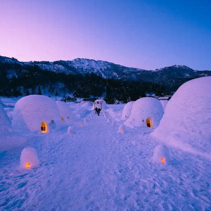 长野：雪猴+饭山雪屋 冬季限定10小时包车 | 行程可调整 