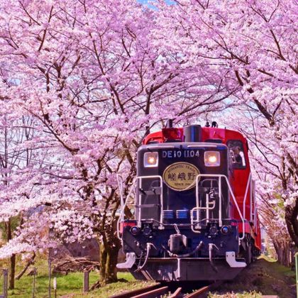 日本大阪+京都市+奈良一日游