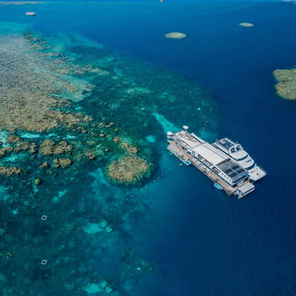 澳大利亚凯恩斯梦幻丽礁号大堡礁游轮+大堡礁一日游