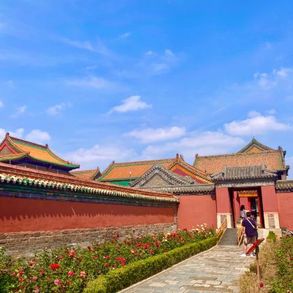 沈阳故宫+张学良旧居+东三省总督府半日游【含门票+人工讲解】