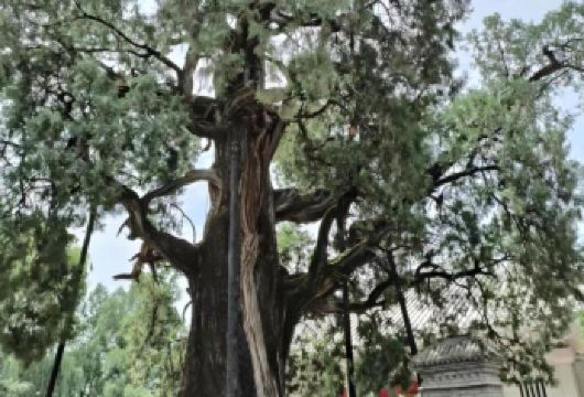 大团【西安市二环接】黄河壶口瀑布+黄帝陵+轩辕庙一日游【精品导游讲解，天天发团，空调舒适大巴出行】