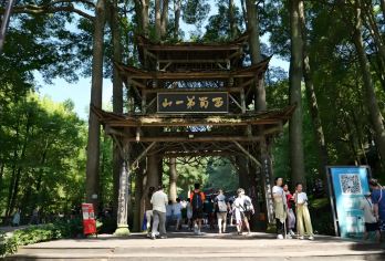 青城山半日游人工讲解【拜水都江堰，问道青城山 细说青城】【青城山半日游，私享讲解探幽境，拜水问道细聆听，一对一服务贴心行】