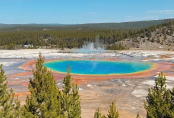 黄石猛犸泉+诺里斯间歇泉+老忠实间歇泉+大棱镜【包车一日游】【第一次去黄石不懂怎么玩？我们选对了“包车纯玩”就不踩坑！】