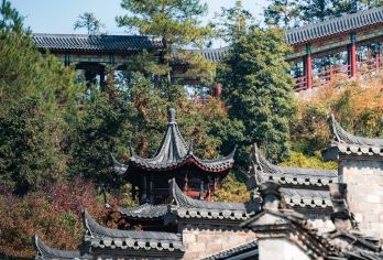 景德镇丙丁柴窑+寒溪村+瑶里+瓷宫一日游【上门接丨当地司机】【打卡纯游玩，无诱导消费】