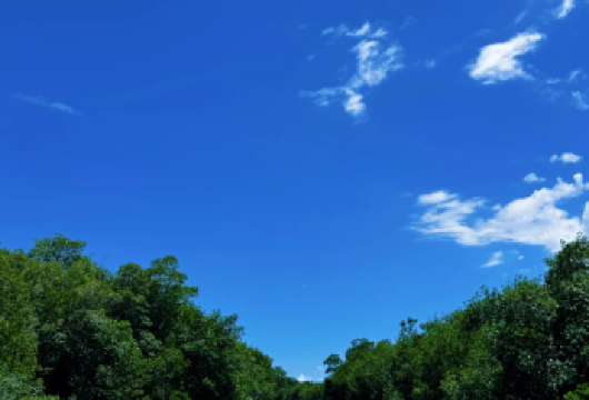 美国迈阿密：大沼泽地国家公园 中文包车一日游【酒店上门接送】【中文专车出行，景点灵活调整，打卡经典，游玩自己定义，无需等待，专属贴心服务，尽情惬意旅程。】