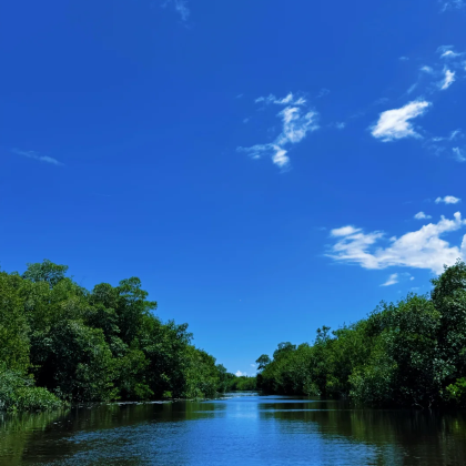 美国迈阿密：大沼泽地国家公园 中文包车一日游【酒店上门接送】