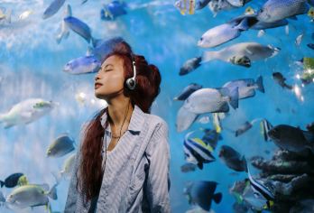 芽庄：当地导游带领的城市精华游【在当地导游的带领下，探索芽庄丰富的历史文化。欣赏这座城市标志性天主教堂的哥特式建筑。 参观越南海洋研究所，了解海洋生物。探索婆那加塔，这是一座古老的印度教寺庙群。 品尝越南籍焦糖布丁（bánh flan）这种甜点吧！】