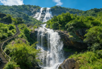 广东省博物馆-广州塔-增城白水寨-增城正果老街【了解岭南文化和历史，品鉴广州和增城特色美食】