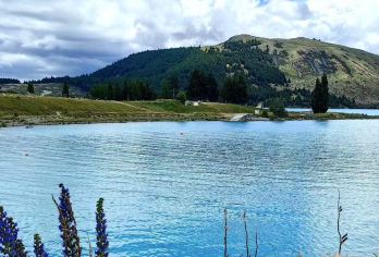 新西兰皇后镇往返瓦纳卡湖+薰衣草庄园 畅游南北岛 中文包车【专属客服和本地中文司机，一家一团包车】