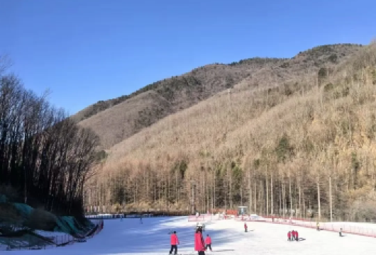 中国湖北+神农顶+中和滑雪场冰雪动感1日游【上午征服华中屋脊冰雪仙境，下午畅享高山滑雪速度激情，一日之内体验静与动的双重冰雪魅力。】