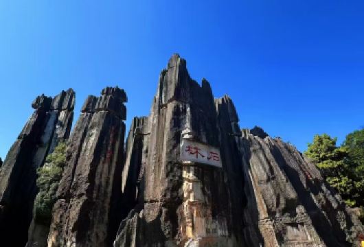 石林风景区+九乡风景区  1日包车游【专业服务：从事旅游行业10余年的领队兼司机带队，驾龄10年以上】