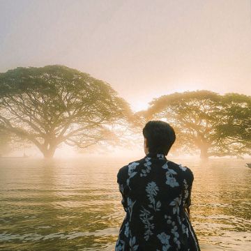 清迈网红水中雨树一日游丨可搭配粘粘瀑布/大象咖啡/天使瀑布