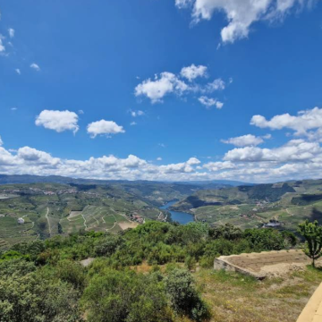 葡萄牙波尔图-杜罗河谷-皮尼扬葡萄梯田【中文专车-惬意舒适】