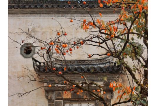 婺源篁岭半日游【可选8人小团  纯玩无购物】【电视剧《欢乐颂2》拍摄地—篁岭[梯云村落、晒秋人家]】